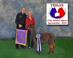 Alpacas for Sale — Storm's first Color Banner!