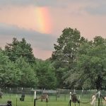 Code of Ethics — Rainbow at the Ranch