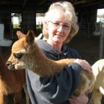 FAQ's about Alpacas — Debbie & Cria