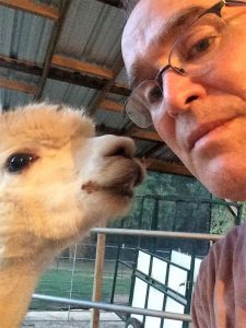 Advantages of Alpacas — They are approachable