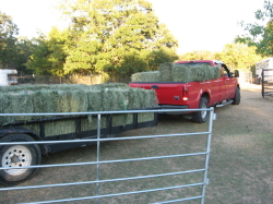 About Us — Orchard grass hay delivery!
